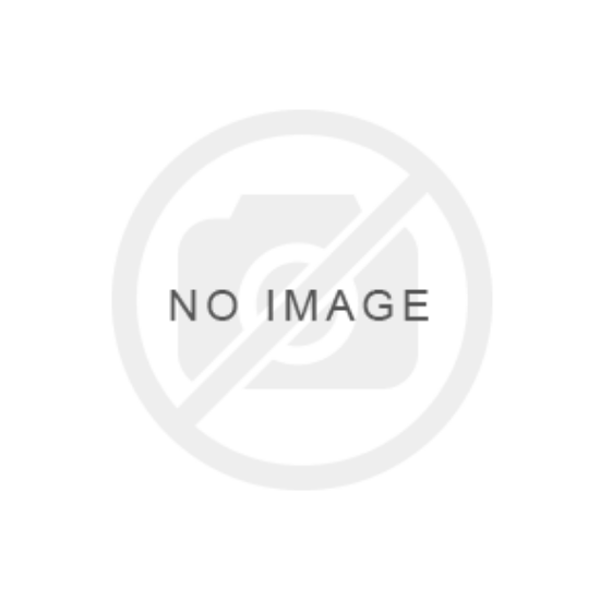 Picture of 2026 YI Initiatives